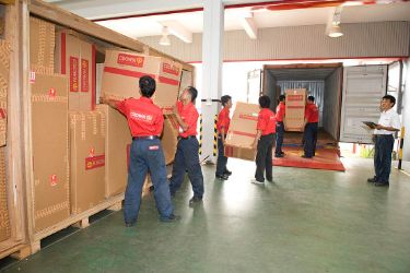 crown relocation - wooden pallets