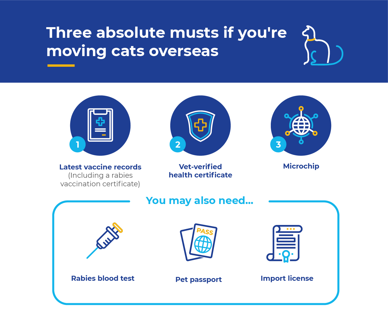 Infographic - Moving with cats